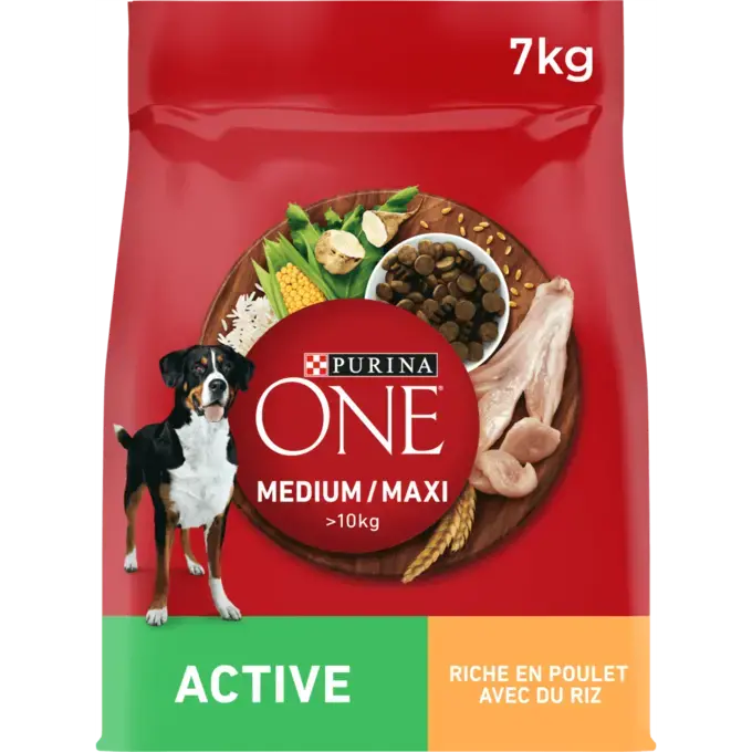 PURINA® ONE® MEDIUM MAXI > 10kg Active, Crocchette per cane attivo Ricche di Pollo con Riso -