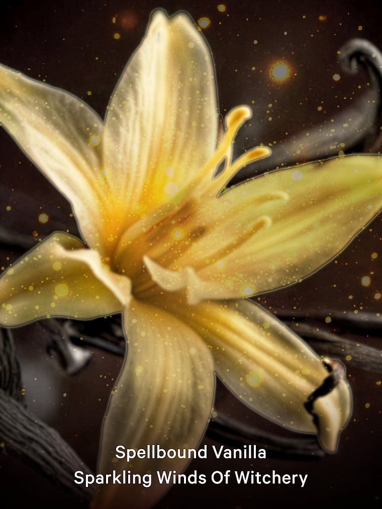 Potions After Dark Shimmer Fragrance Mist
