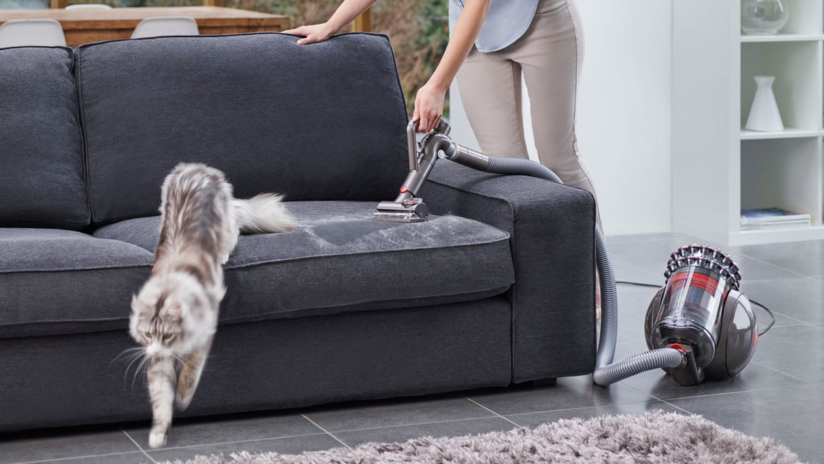 Aspirapolvere a traino Dyson Cinetic Big Ball™ Absolute 2