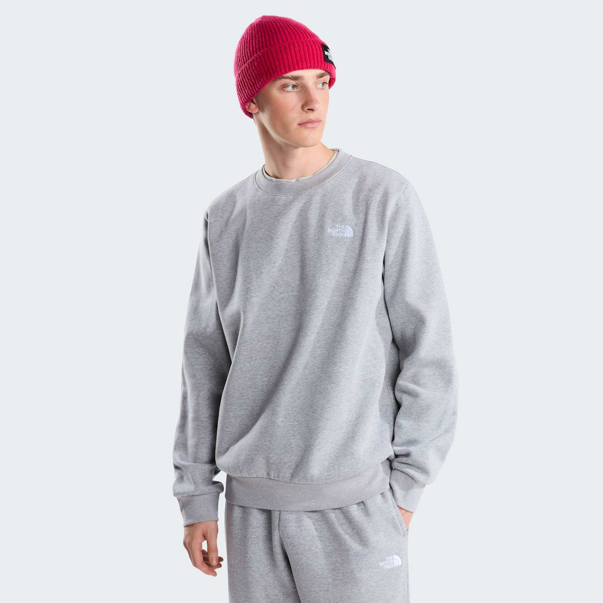 Felpa regular fit Evolution Simple Dome da Uomo