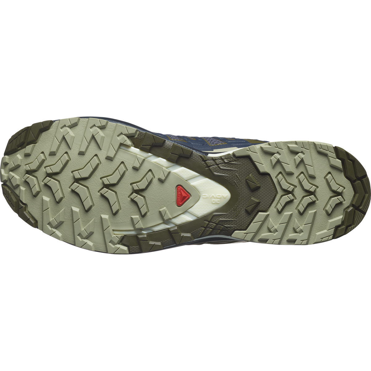 Salomon XA PRO 3D V9 Uomo - India Ink / Olive Night / Aloe Wash