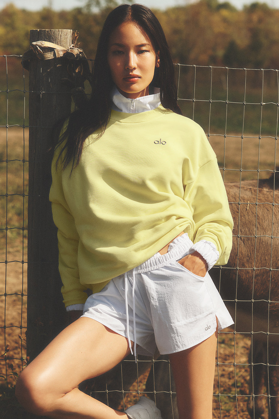 Maglione girocollo Accolade