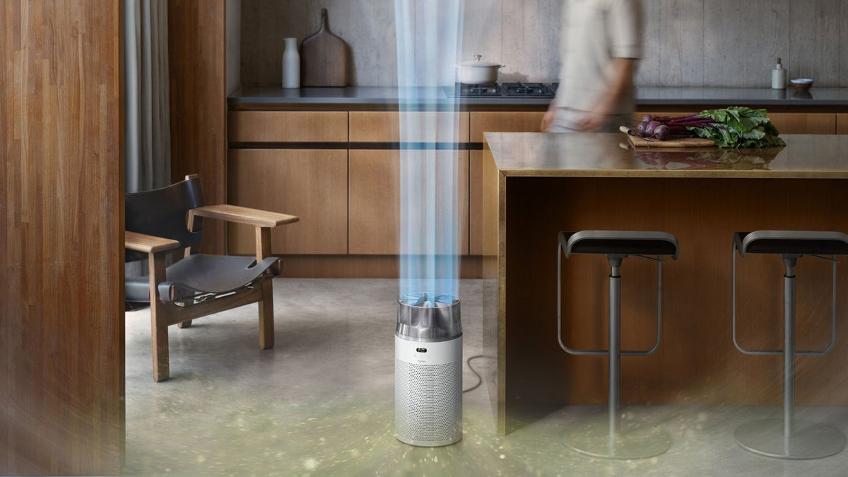 Purificatore compatto Dyson HushJet™ HJ10