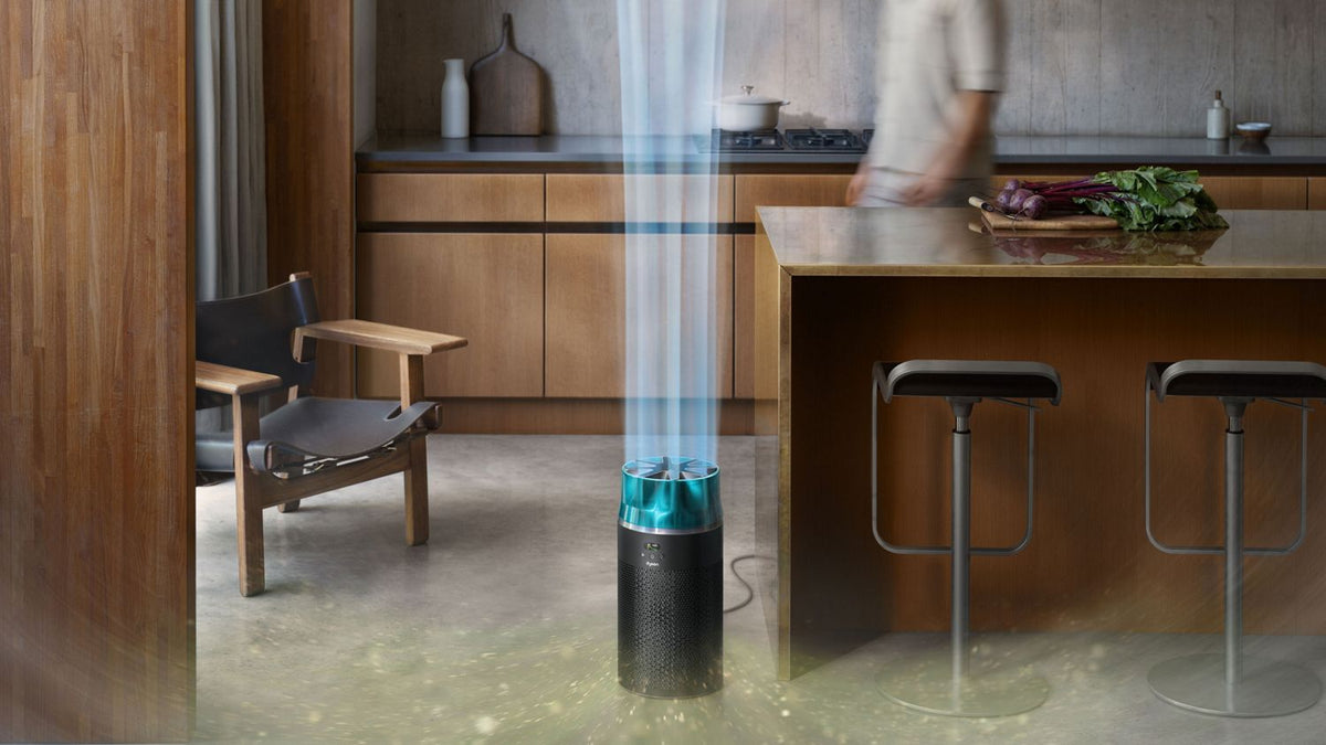 Purificatore compatto Dyson HushJet™ HJ10